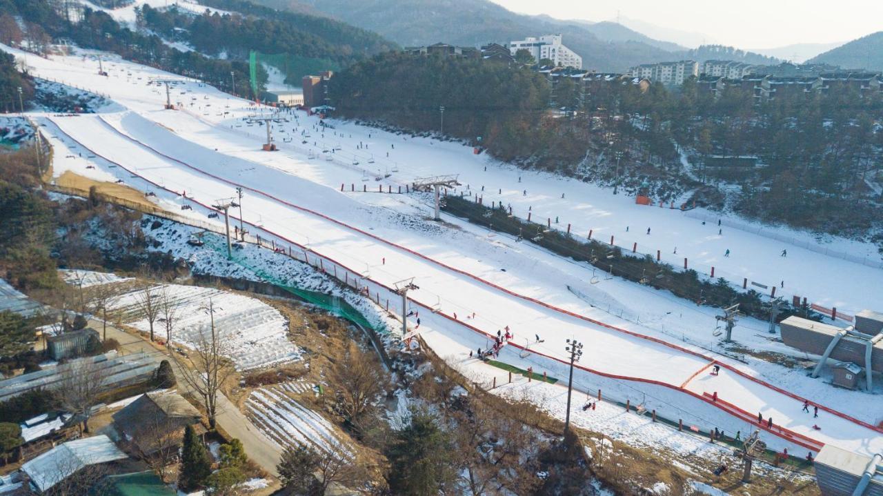 Bears Town Hotell Pocheon Exteriör bild