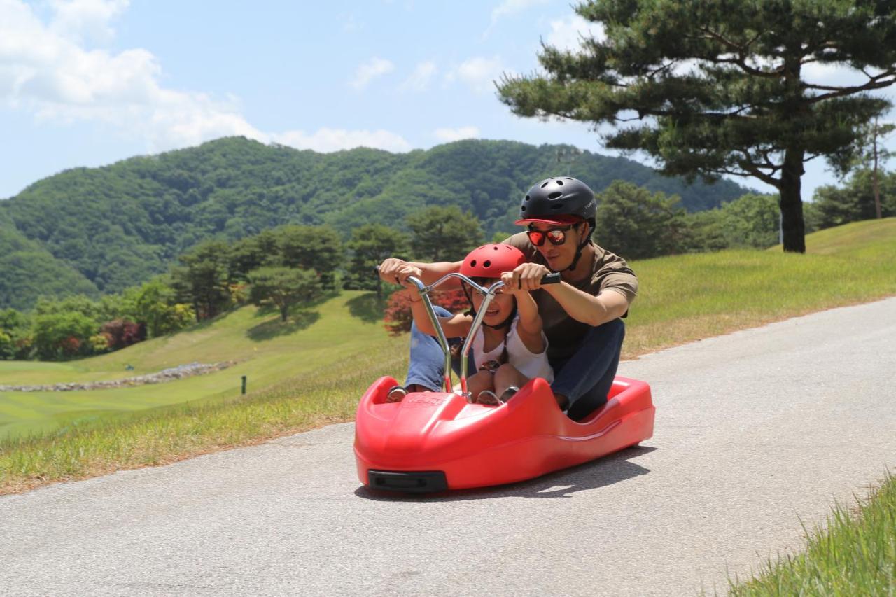 Bears Town Hotell Pocheon Exteriör bild