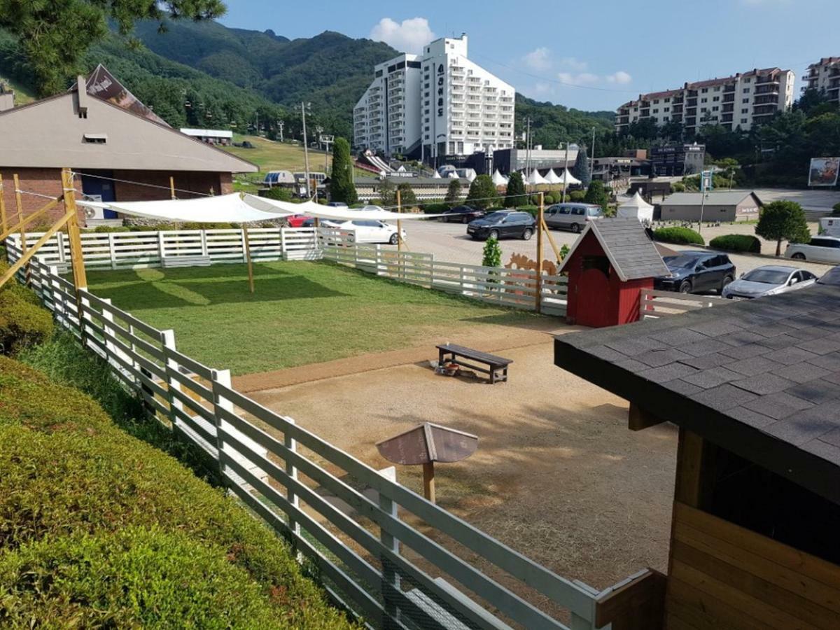 Bears Town Hotell Pocheon Exteriör bild
